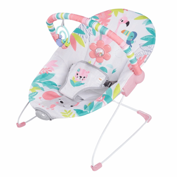Silla Vibradora Bright Starts Para Niña